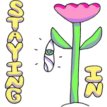 wiggly squiggly cuties plant pupa staying in google wiggly squiggly cuties plant pupa staying in google