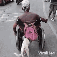 Dog Helping His Human Viralhog GIF - Dog Helping His Human Viralhog Dog Pushing The Wheelchair GIFs