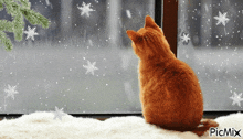 Cat Winwow Manesh Window GIF - Cat Winwow Manesh Window GIFs