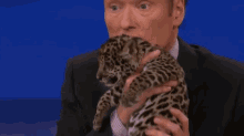 This Is Just Right GIF - Animals Tv Talk Show GIFs