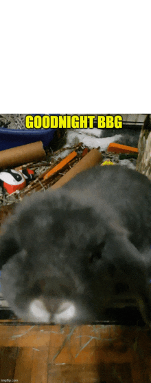 Goodnight Bbg Bunny GIF - Goodnight Bbg Bunny Rabbit GIFs