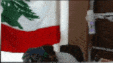 a red white and green flag is hanging in a room