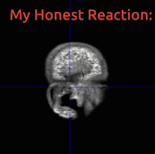 My Honest Reaction Reaction Image GIF - My Honest Reaction Reaction Reaction Image GIFs