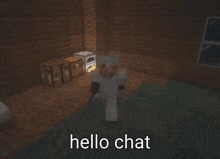 a screenshot of a minecraft character with the words hello chat below it