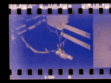 a picture of a deer is on a film strip with the number 400 on it