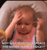 Hands On The Head Oh No GIF - Hands On The Head Oh No Poor Baby GIFs