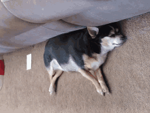 Another Lazy Day GIF - Another Lazy Day GIFs