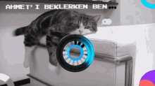 Ahmeti Beklerken Ben Ahmet GIF - Ahmeti Beklerken Ben Ahmet Cat Loading GIFs