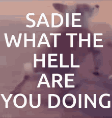 Sadie GIF - Sadie GIFs