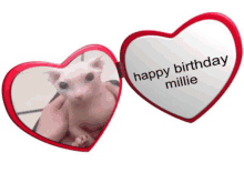 Bingus Happy Birthday Millie GIF - Bingus Happy Birthday Millie GIFs