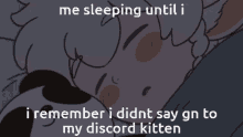 neil bowman sleep discord kitten