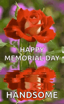Happy Memorial Day Flowers GIF - Happy Memorial Day Flowers Holiday GIFs