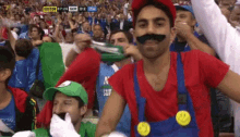 Mario And Luigi GIF - Mario And Luigi Soccer Fans GIFs