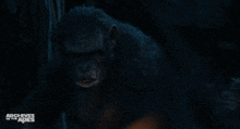 Planet Of The Apes Koba GIF - Planet Of The Apes Koba Stare GIFs