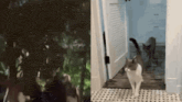 a cat is walking through a doorway next to a cat in a bathroom