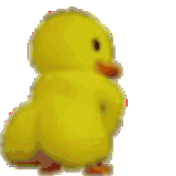 Duck Dancing Sticker
