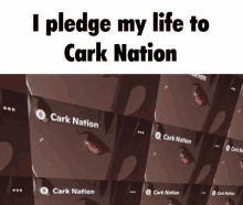 Cark Cark Nation GIF - Cark Cark Nation Roblox GIFs