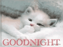 Good Night Sweet Dreams GIF - Good Night Sweet Dreams Cute GIFs