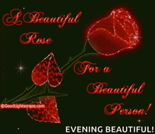 A Beautiful Rose For A Beautiful Person GIF - A Beautiful Rose For A Beautiful Person Red Rose GIFs