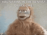 a stuffed animal is sitting in the dentist 's office like a dentist .