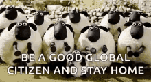 Shaun The Sheep Stop Motion GIF - Shaun The Sheep Stop Motion Wallace And Gromit GIFs