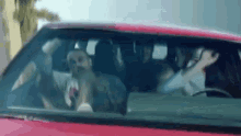 Reckless Driving Strolling GIF - Reckless Driving Strolling Accident GIFs