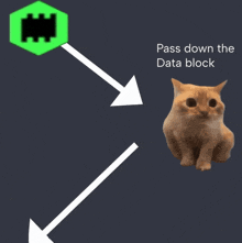 a cat is sitting next to a green block with the words pass down the data block below it