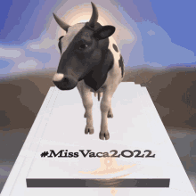 Vaca Miss GIF - Vaca Miss Missvaca GIFs