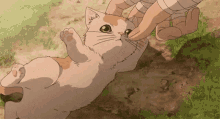 Akira Cute GIF - Akira Cute Cat GIFs