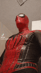 a person in a spiderman costume has tiktok written on the bottom right