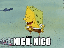 Nirfaedah Anies Nico GIF - Nirfaedah Anies Nico Nico Anies GIFs