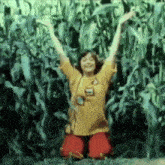 a woman in a yellow shirt is kneeling in a corn field