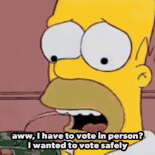 The Simpsons Homer GIF - The Simpsons Homer Early Voting GIFs