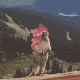 a squirrel with pink hair is standing on its hind legs in front of a mountain range