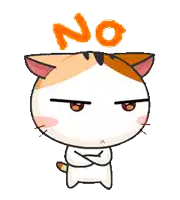 a cartoon cat with arms crossed and the word no on its head