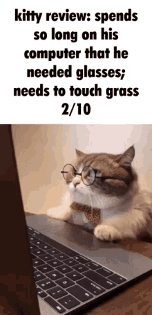 Kitty Review Touch GIF - Kitty Review Touch Grass GIFs