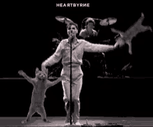 David Byrne Talking Heads GIF - David Byrne Talking Heads Cats GIFs