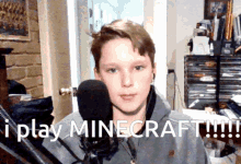 I Play Minecraft GIF - I Play Minecraft GIFs