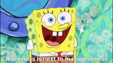 sponge bob clean manager cleanliness managerliness