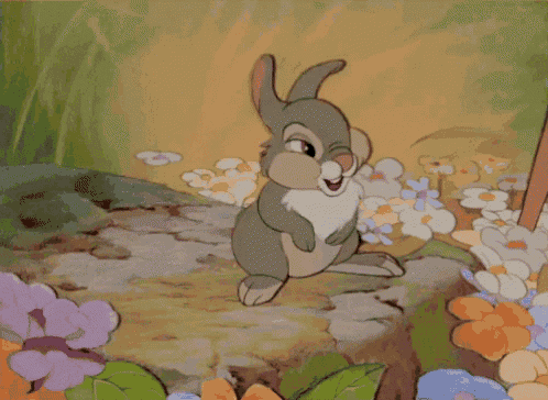 Tambo Coelho GIF - Tambo Coelho RabbitTambo Coelho GIF - Tambo Coelho Rabbit  