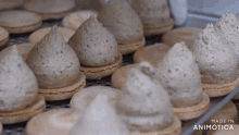 a bunch of cookies are sitting on a tray that says made in animonica