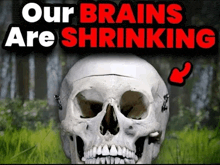 a picture of a skull with the words our brains are shrinking