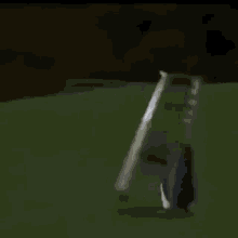 a penguin is standing next to a cigarette on a green field .