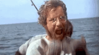Jaws Funny GIF - Jaws Funny Wacky - Discover & Share GIFs