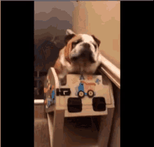 We Started From The Top GIF - Dog Lift Cute GIFs