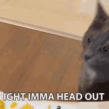 Cat Cats GIF - Cat Cats Ight Imma Head Out GIFs