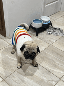 a pug dog wearing a rainbow sweater stands on a tile floor