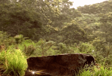 a large rock in the middle of a lush green field