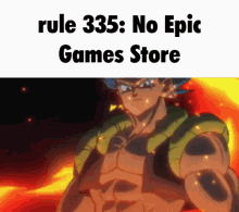 epic games rule335 goku dbz fortnite