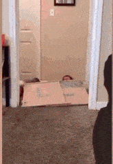 a person is standing next to a cardboard box on the floor in a room .
